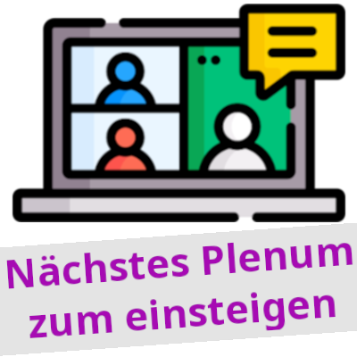 Nächstes Aktionsnetzwerk Onlinetreffen